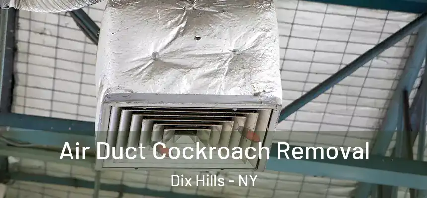 Air Duct Cockroach Removal Dix Hills - NY