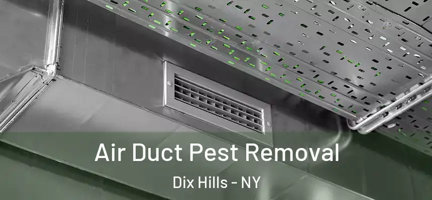  Air Duct Pest Removal Dix Hills - NY