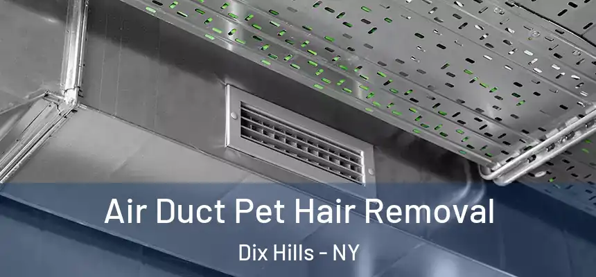 Air Duct Pet Hair Removal Dix Hills - NY