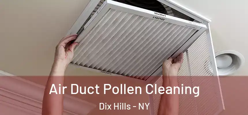  Air Duct Pollen Cleaning Dix Hills - NY