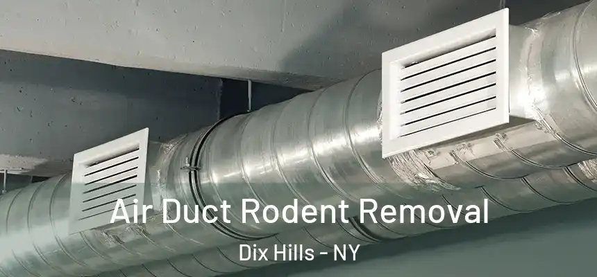 Air Duct Rodent Removal Dix Hills - NY