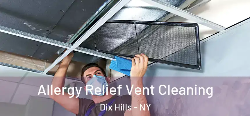  Allergy Relief Vent Cleaning Dix Hills - NY