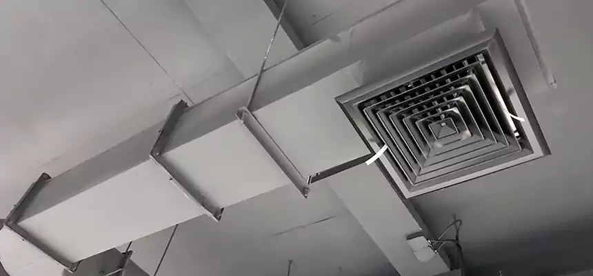 Our Pest Removal From Ducts Services in Dix Hills, NY