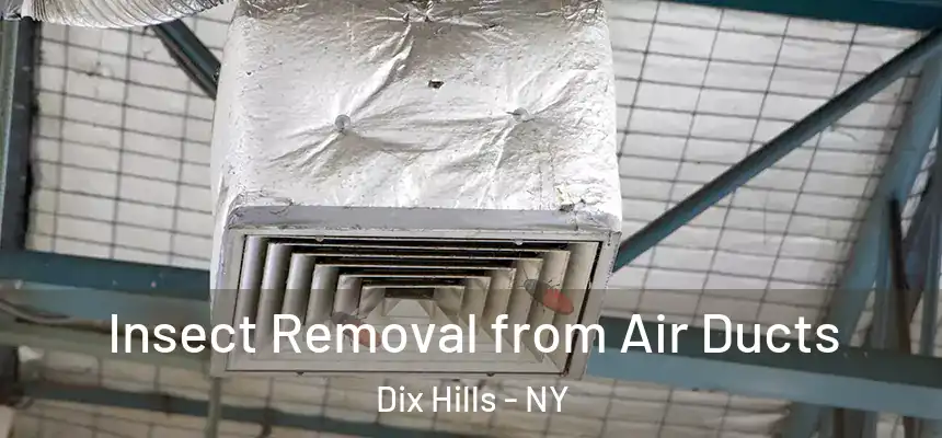  Insect Removal from Air Ducts Dix Hills - NY
