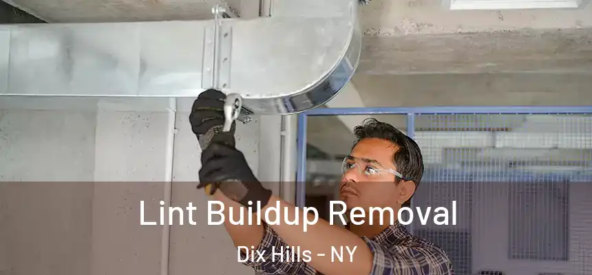 Lint Buildup Removal Dix Hills - NY