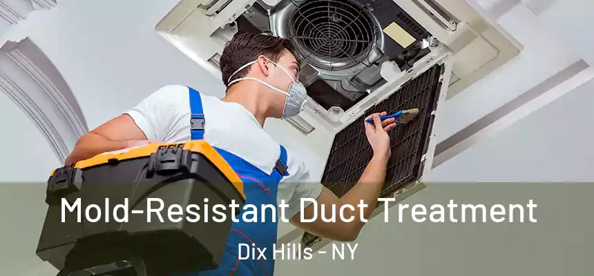  Mold-Resistant Duct Treatment Dix Hills - NY