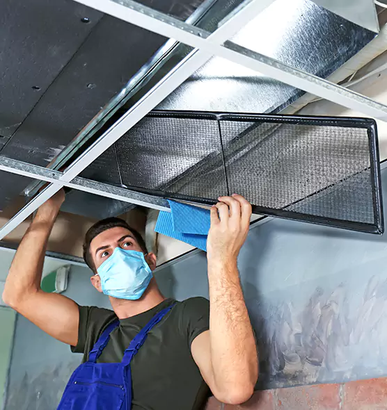 About Air Duct Bacteria Removal in Dix Hills