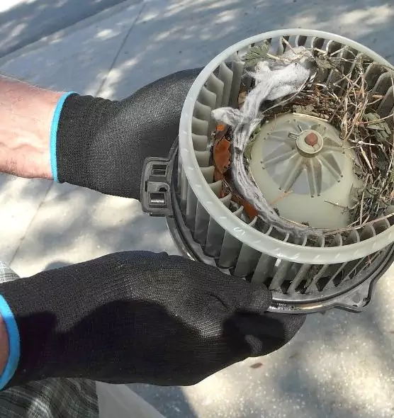 About Air Duct Mice Removal in Dix Hills, NY