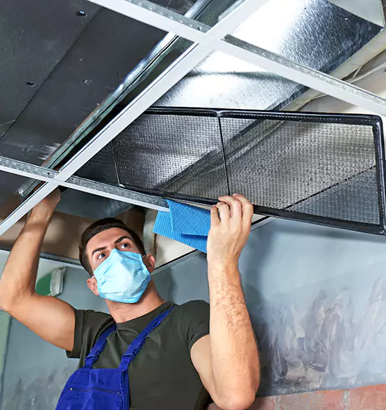 Professional Air Duct Pollen Cleaning in Dix Hills, NY