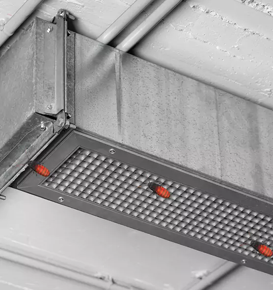 Affordable Insect Removal from Air Ducts in Dix Hills, NY