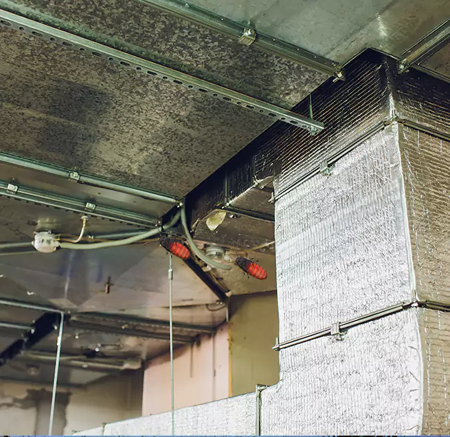 Why Homeowners & Businesses Trust Us in Dix Hills, NY?