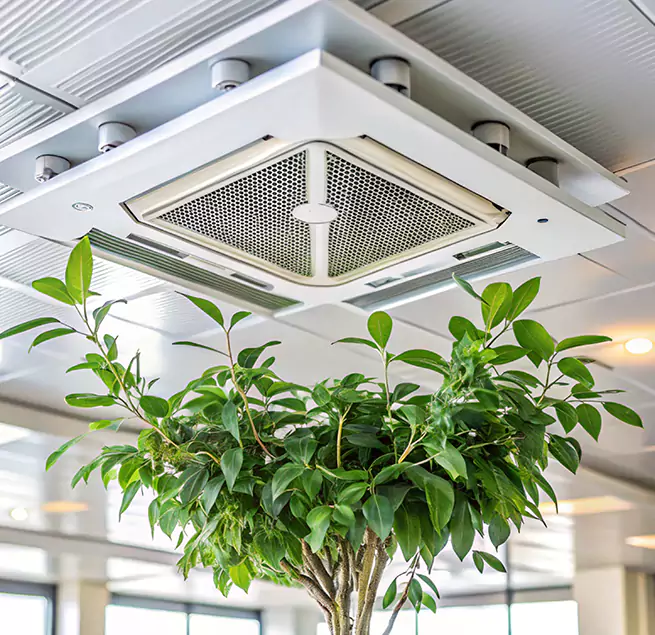 Why Homeowners & Businesses Trust Us in Dix Hills, NY?